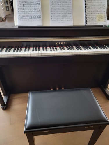 Kawai ca95 digital piano - piano,